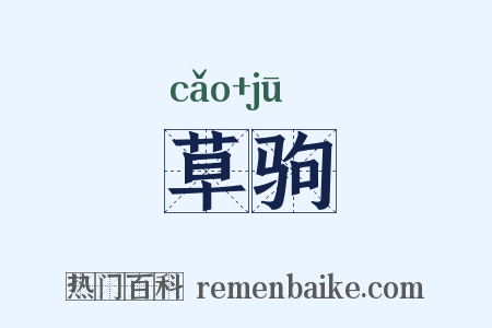 草驹是什么意思的图片